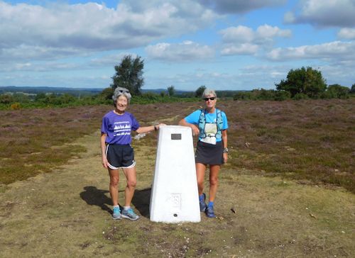 2020 trig